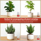 Hormex Rooting Powder #8 & 16 - Rooting Hormone for Semi-Hardwood Home and Garden Plants to Very Difficult Hardwood, Medicinal and Tree Cuttings
