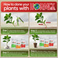 Hormex Rooting Powder Pack #1, 3, 8 - Rooting Hormone for Delicate and Common Houseplants to Semi-Hardwood, Medicinal Plants and Tree Cuttings