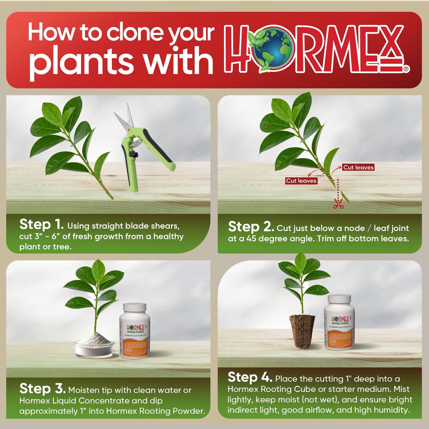 Hormex Rooting Powder #3 (0.30 IBA) - Rooting Hormone for Common Home & Garden Plant Cuttings