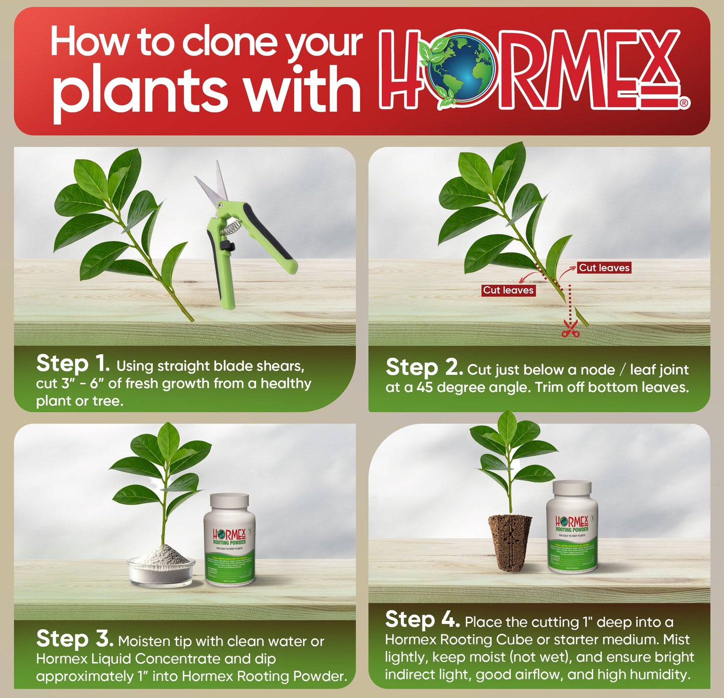Hormex Rooting Powder #1 (0.10 IBA) - Rooting Hormone for Delicate Houseplants, Garden Herbs & Succulent Cuttings