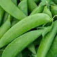 PEA Seeds, Sugar Anne Snap