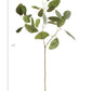 24" Faux Eucalyptus Leaf Stem