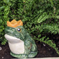 Prince Frog Watering Spike