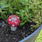 Medium Mushroom Watering Spike