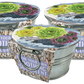 Pail of Peace - Grow Your Own Succulents Multipack of 3