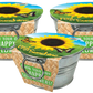 Pail of Sunshine - Grow Your Own Sunflowers Multipack of 3