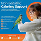 Parrot Calming Supplement Unruffledrx Bird Stress Relief Non Sedating 150 Servings