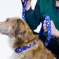 cuteNfuzzy® Collar acolchado ajustable con estampado para perro con garantía