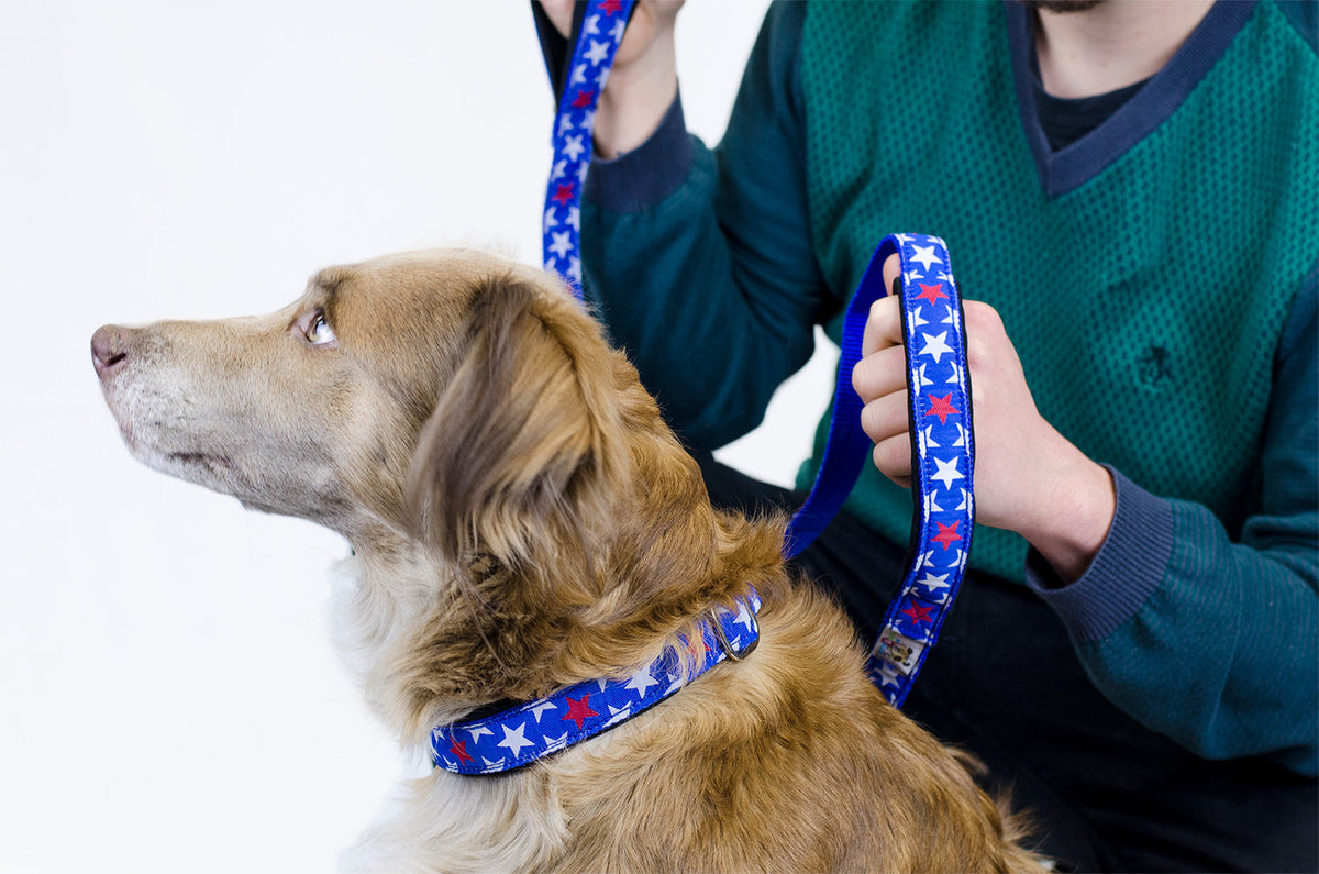 cuteNfuzzy® Collar acolchado ajustable con estampado para perro con garantía