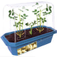 Grow Your Own Peanuts Sprouter Terrarium