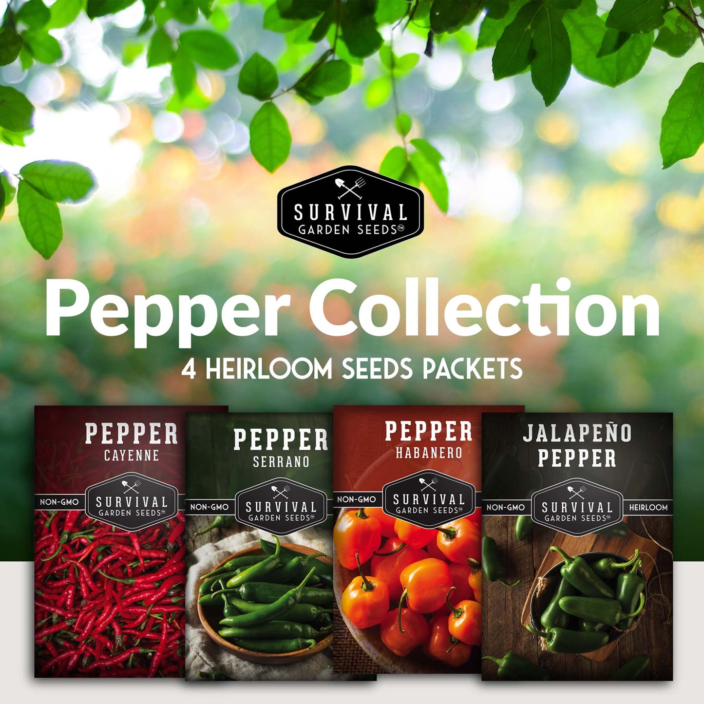 Hot Pepper Seed Collection – Heirloom Non-GMO 4-Variety Pack: Jalapeño, Serrano, Cayenne & Habanero Orange for Salsas, Sauces & Spicy Cooking