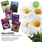 Perennial Flower Seed Collection – Non-GMO Heirloom Blooms for Pollinator Gardens, Borders & Year-Round Color