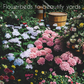 Wildflower, Perennial, & Annual Flower Seed Kit | 35 Variety Pack