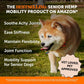 Pet Honesty Senior Hemp Hip & Joint Chews for Dogs | Mobility Support 90 Ct
