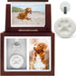 Pet Memorial Urn Keepsake Box for Dogs & Cats w/ Paw Print Kit & Album