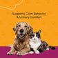 Pet Urinary Tract Support Drops Cat Dog Bladder Kidney Cranberry Chamomile