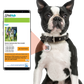 PetHub QR ID Pet Tag - Escape Artist