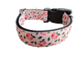 Peach Nylon Dog Collar
