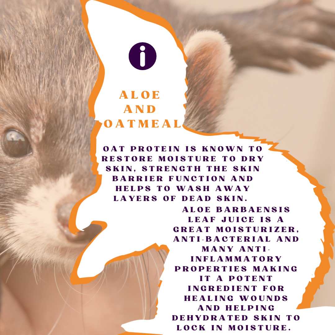 Piccardmeds4pets Fresh Ferret Aloe and Oats Shampoo 12 oz. + FREE Bandana!