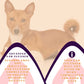 Piccardmeds4pets Advanced Ear Cleanser Alcohol Free for Dogs and Cats 8 oz. + FREE Bandana!