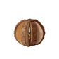 Treat & Play Ball for Bunnies, Guinea Pigs & Rodents Various Types