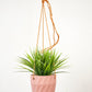 Virago Modern Hanging Planter- Grid