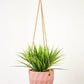 Virago Modern Hanging Planter- Grid