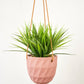 Virago Modern Hanging Planter- Grid