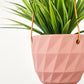 Virago Modern Hanging Planter- Grid
