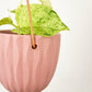 Virago Modern Hanging Planter- Waves