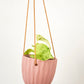 Virago Modern Hanging Planter- Waves