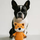 Plush Squeaky Dog Toys 5-Pack Corduroy Set for Medium & Large Dogs