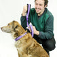 cuteNfuzzy® Collar acolchado ajustable con estampado para perro con garantía