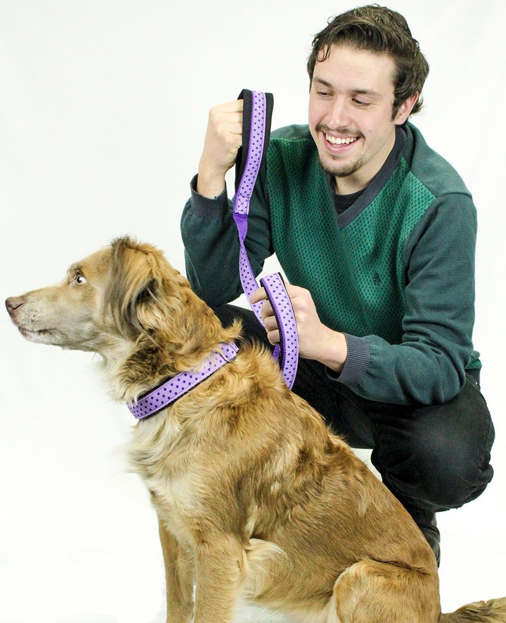 cuteNfuzzy® Collar acolchado ajustable con estampado para perro con garantía