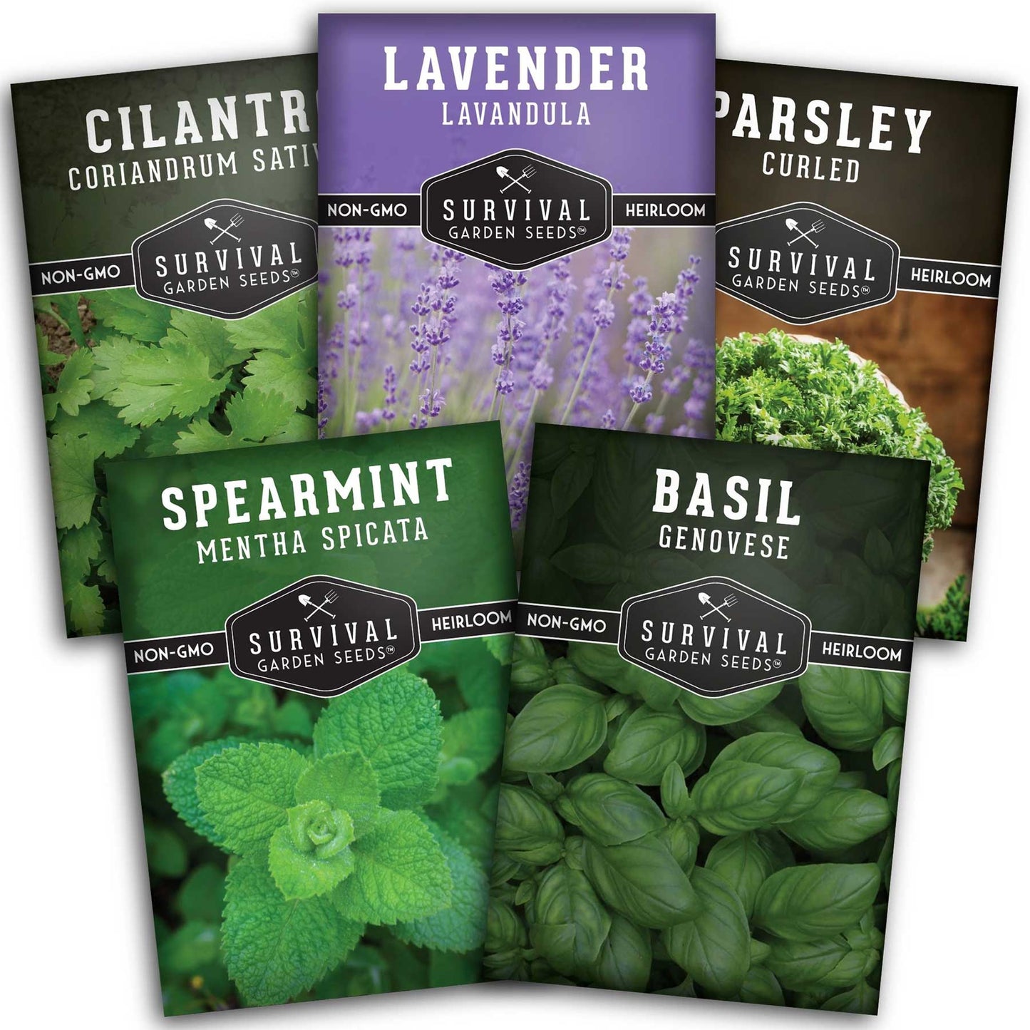 Popular Herb Seed Collection – 5 Heirloom Non-GMO Herbs for Culinary & Garden Use (Spearmint, Basil, Cilantro, Lavender & Parsley) – Indoor or Outdoor Growing Kit
