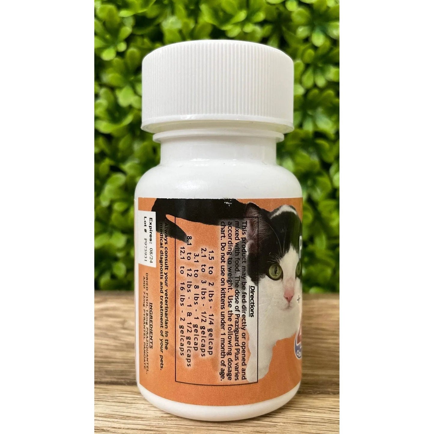 Praziguard Tapeworms Plus De-Wormer for Cats 4 Gelcaps Fish Flavor