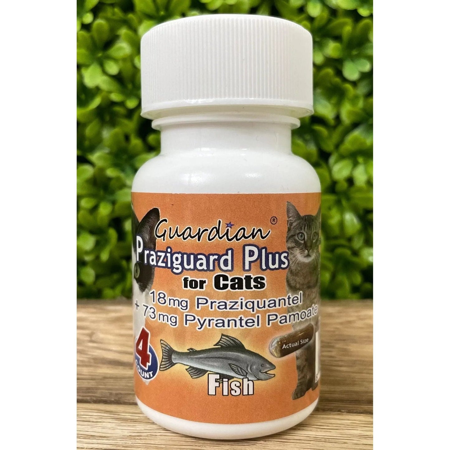 Praziguard Tapeworms Plus De-Wormer for Cats 4 Gelcaps Fish Flavor