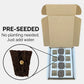 Parsley (Giant of Italy) Seeds (4x)