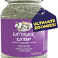 Premium Natural Catnip Blend for Cats Training, Toys & Playtime Stimulation