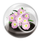 Flowering Tiny Terrariums Bundle - 1 each of 6 Varieties