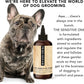 Pride + Groom Sensitive Dog Shampoo Natural Essential Oils 16oz