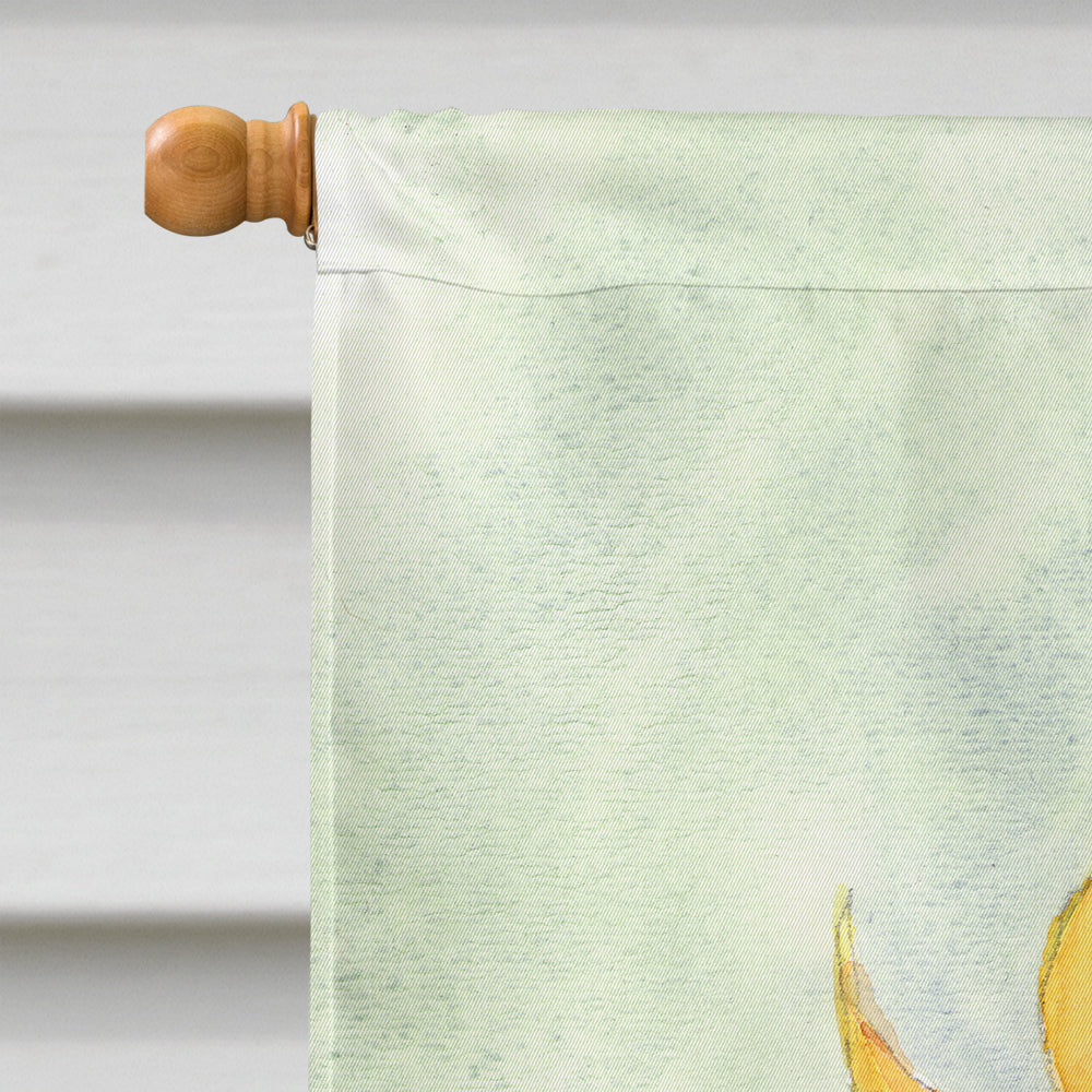 Flower - Sunflower Flag Canvas House Size RDR2001CHF