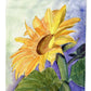Flower - Sunflower Garden Flag – Decorative Outdoor Yard Flag RDR2001GF