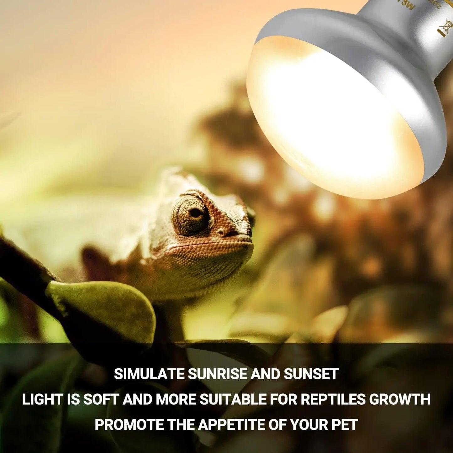 75W Reptile Heat Lamp Bulb 2PCS UVA Daylight & Infrared Night Basking E26