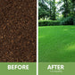 RUFF and TUFF! Grass Seed