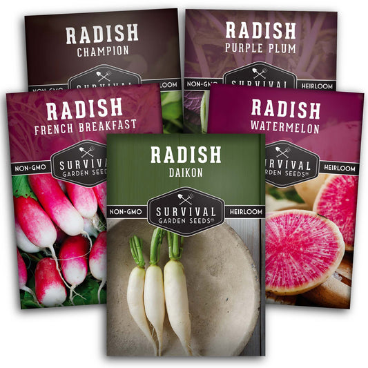 5 Variety Radish Seeds Pack – Heirloom Collection for Spring, Summer & Fall Gardens