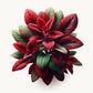 Red Amaranth Seeds (4x)