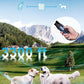 Remote Dog Training Collar for 2 Dogs, 3300ft Waterproof Rechargeable