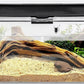Reptile PC Terrarium Starter Kit Enclosure for Spiders, Geckos & Insects