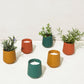 Rooted Candles